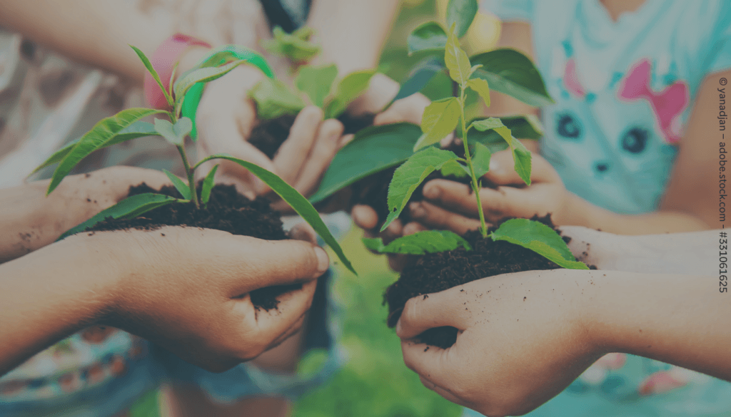 Kinderhände halten Pflanzenableger in den Händen.